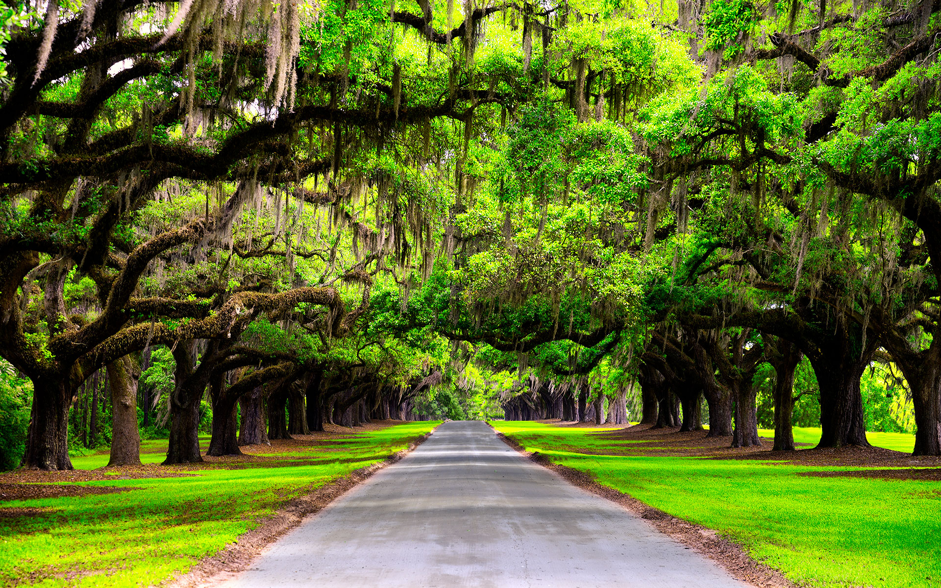 Louisiana Wedding Insurance - Wedsure®